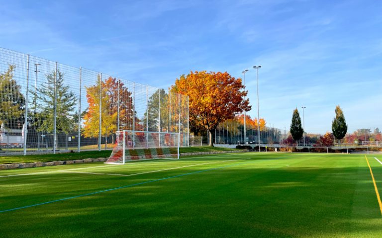 Fellbach Kunstrasen 2