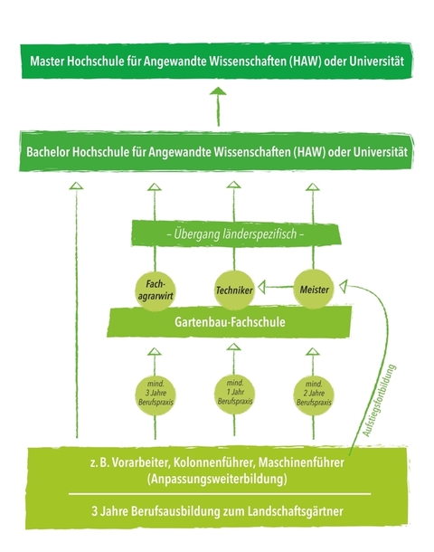 Ausbildungsfaden